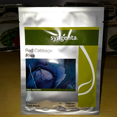 Red Cabbage Riva F1