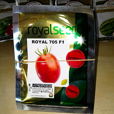 Royal 705 F1 TOMATO