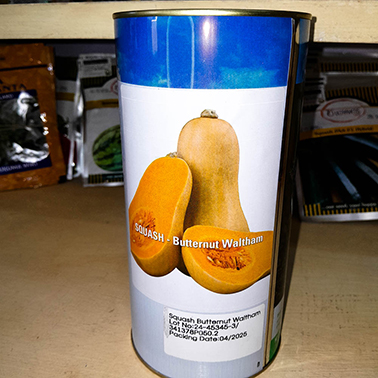 Squash Butter nut Waltham
