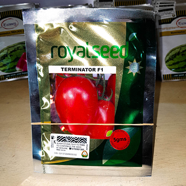 TERMINATOR TOMATO F1