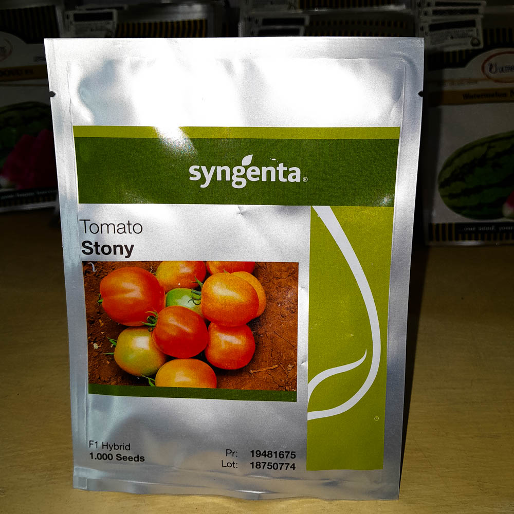 TOMATO STONY