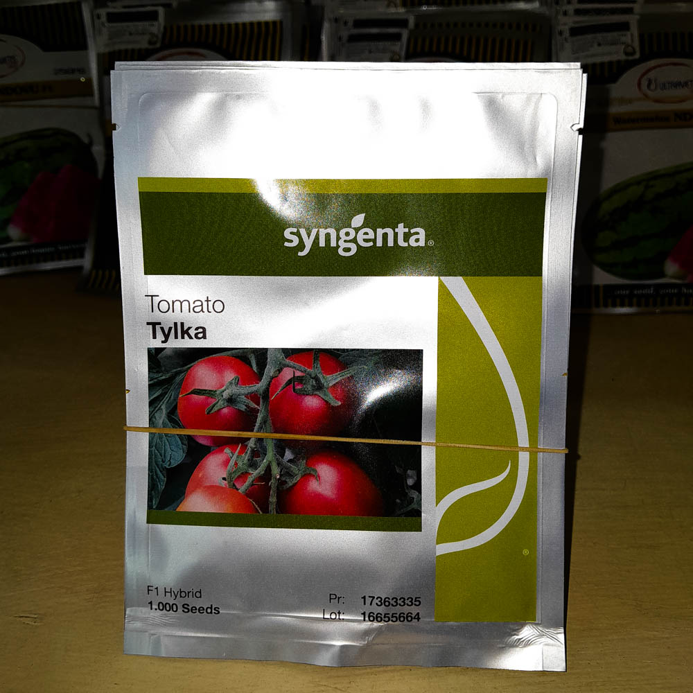 TOMATO TYLKA