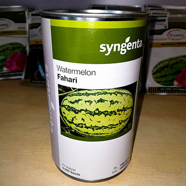 Watermelon Fahari F1