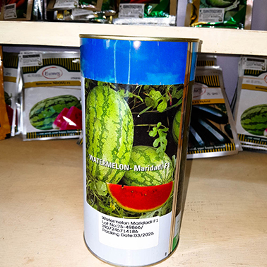 Watermelon maridadi F1